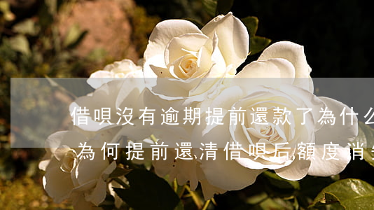 借唄沒有逾期提前還款了,為什么沒有額度了，為何提前還清借唄后額度消失？
